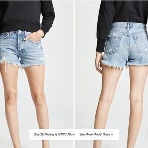 Agolde Parker Vintage Cutoff Shorts (Size 26)